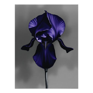 Poster Elégant Iris Foncé Avec Gris Fumé