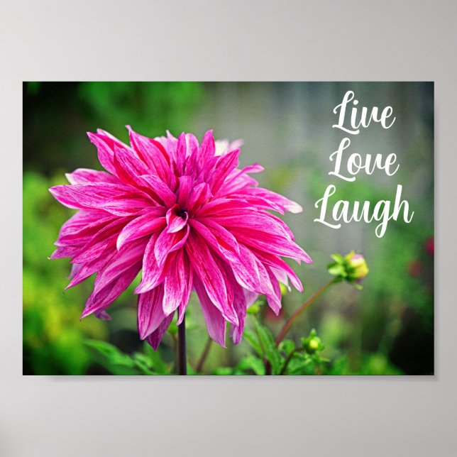 Poster Elégant Jardin Rose Dahlia Motivation (Devant)