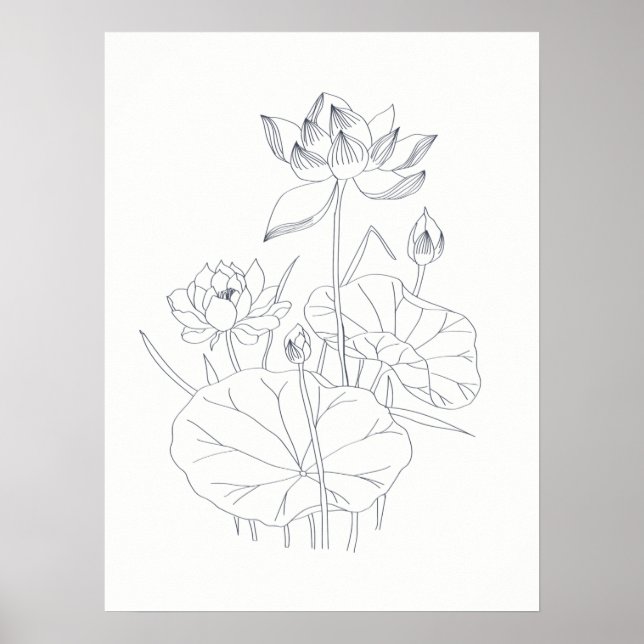 Poster Elégant Nénuphar floral minimum croquis botanique (Devant)