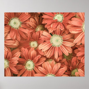 Poster Élégant oeuvre acrylique des tournesols roses Vint