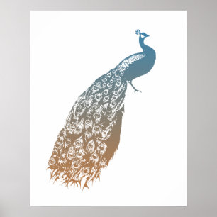 Poster Elégant Peacock