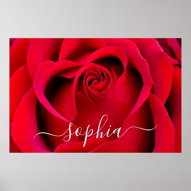 Poster Elegant Rouge Rose Flower Photo Ajouter un nom (Devant)