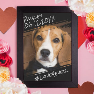 Poster Élégant Simple Moderne Chic Mémorial de Chien Noir