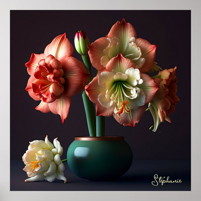 Poster Élégante Fleur d'Amaryllis Blanc Orange (Devant)