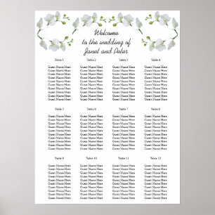 Poster Elégante orchidée blanche Cartes de siège