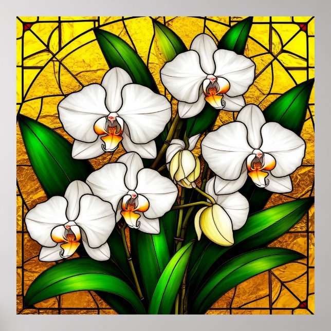 Poster Élégante Orchidée blanche en verre teint (Devant)