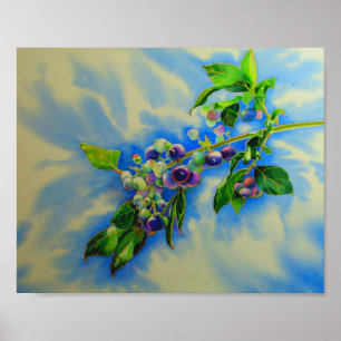 Poster Elégante peinture à l'aquarelle de bleuet