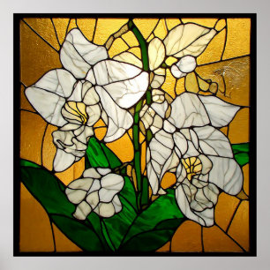 Poster Élégants orchidées blanches en verre teinté