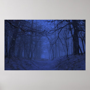Poster Élégie (hiver/nuit)