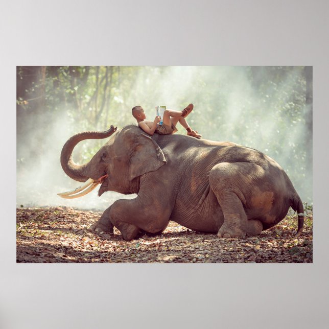 Poster Eléphant (Asian boy lying on the back of an elephant, reading a book. )