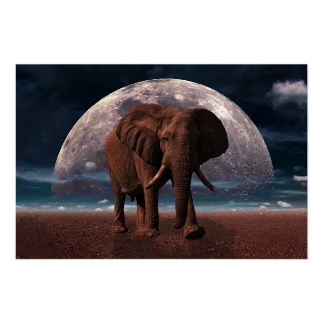 Poster Eléphant (Devant)