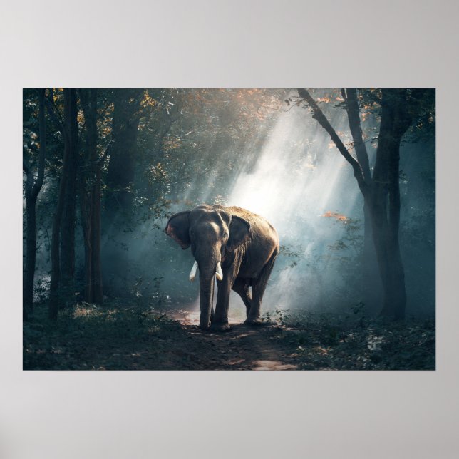 Poster éléphant-1822636 (Devant)