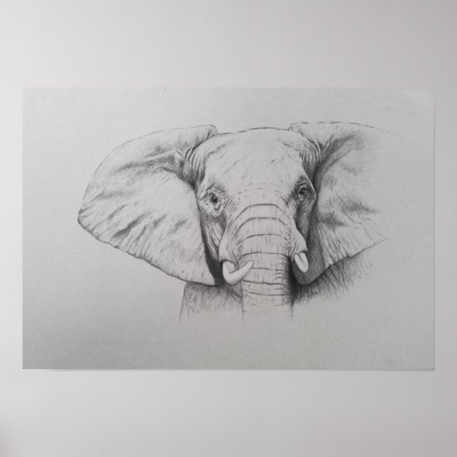 Poster Elephant 2011 (Devant)