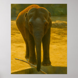 Poster Eléphant avec branche à l’extrémité de l’eau