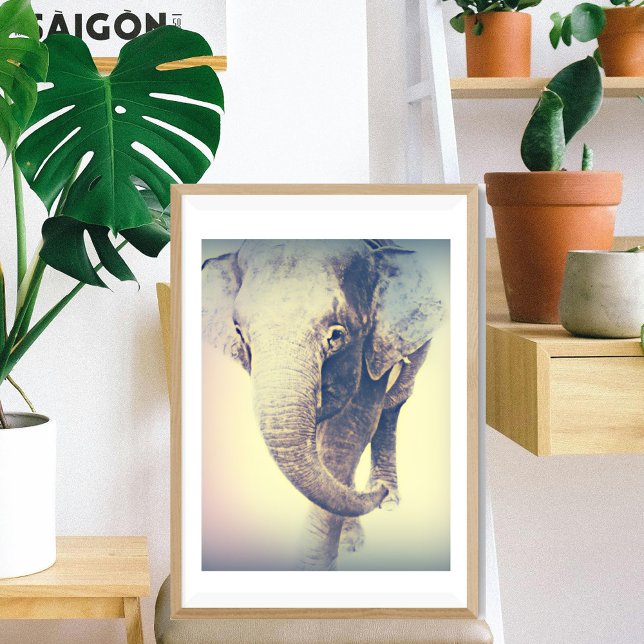 Poster éléphant d'Asie aux couleurs vintage (Créateur téléchargé)