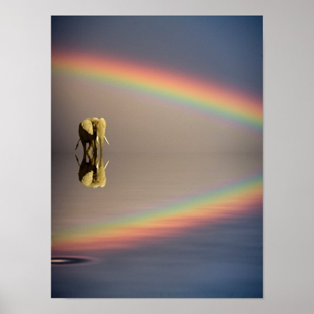 Poster Éléphant, eau et arc-en-ciel, Kenya (Devant)