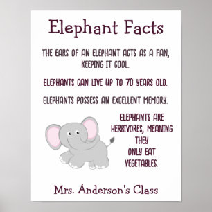 Poster Eléphant - Faits