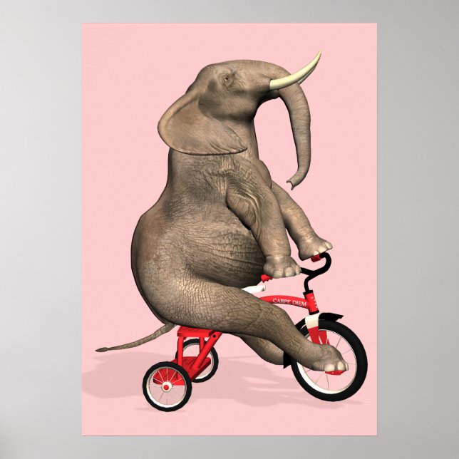 Poster Eléphant Gentil À Tricycle (Devant)