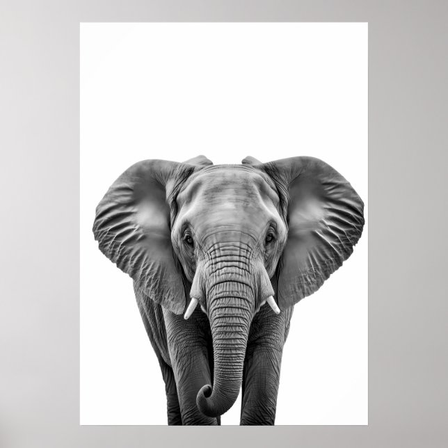 Poster Elephant Modern Black White  (Devant)