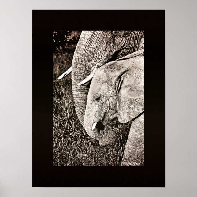 Poster Elephant photo Art africain PORTFOLIO taille (Devant)