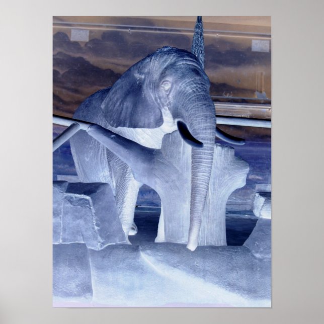 Poster Eléphant Pop Art (Devant)