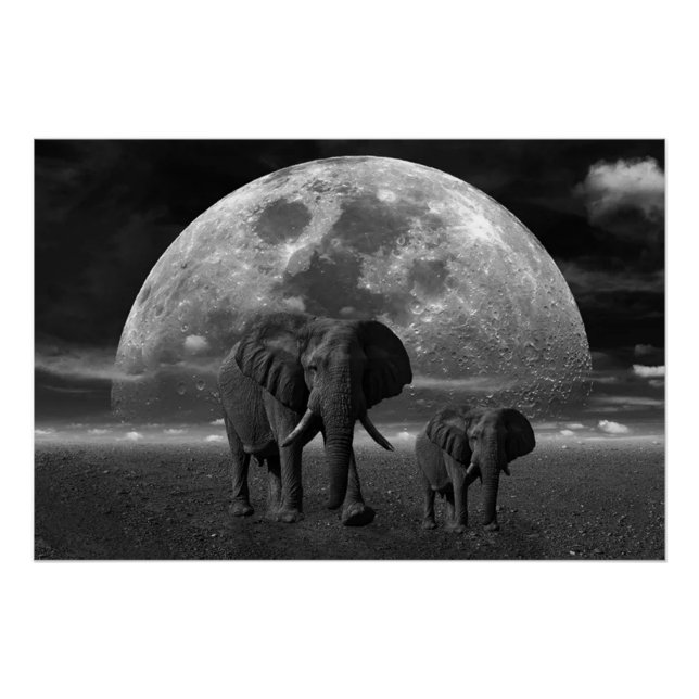 Poster Eléphants (Devant)