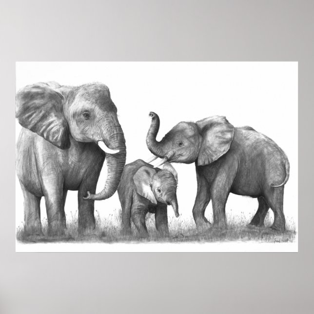 Poster Eléphants_3 (Devant)
