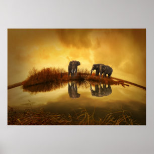 Poster Eléphants asiatiques en Thaïlande sous un coucher 