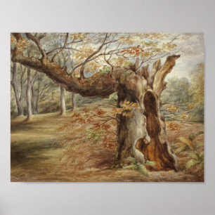 Poster Elizabeth Murray - Arbre tournant