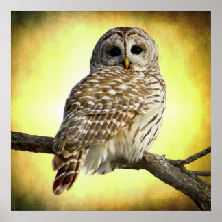 Poster Elle voit au coeur de moi