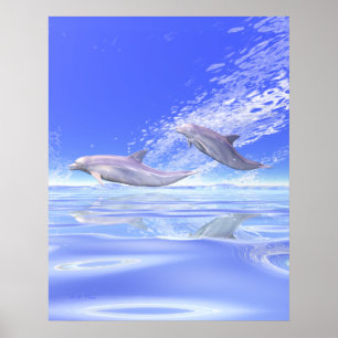 Poster Emballage de dauphins