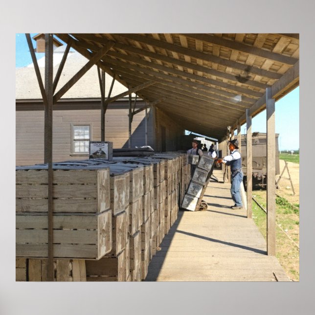 Poster Emballage Pour Oranges D'Expédition Ontario CA 191 (Devant)