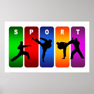 Poster Emblème de karaté multicolore
