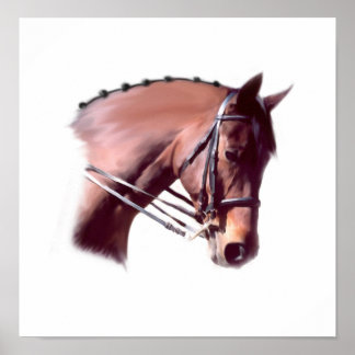 Poster Emerald-Glen Houdini