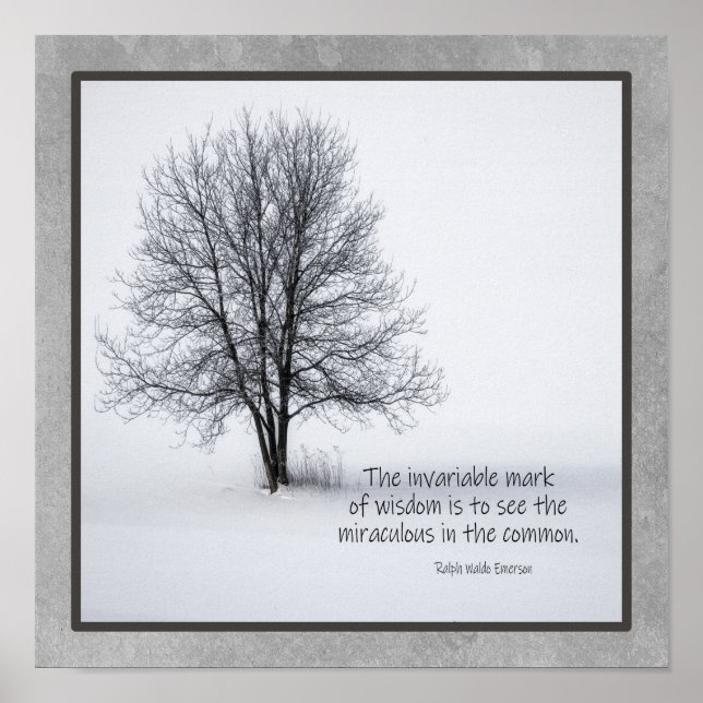 Poster Emerson Citation Pour voir le miracle (Devant)