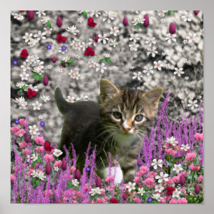 Poster Emma en Fleurs I - Petit chat Kitty Gris