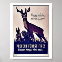 Empêcher les incendies de forêt
