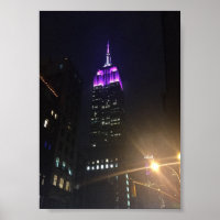 Empire State Building New York City New York