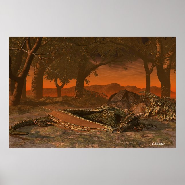 Poster Emplacement de repos (Devant)