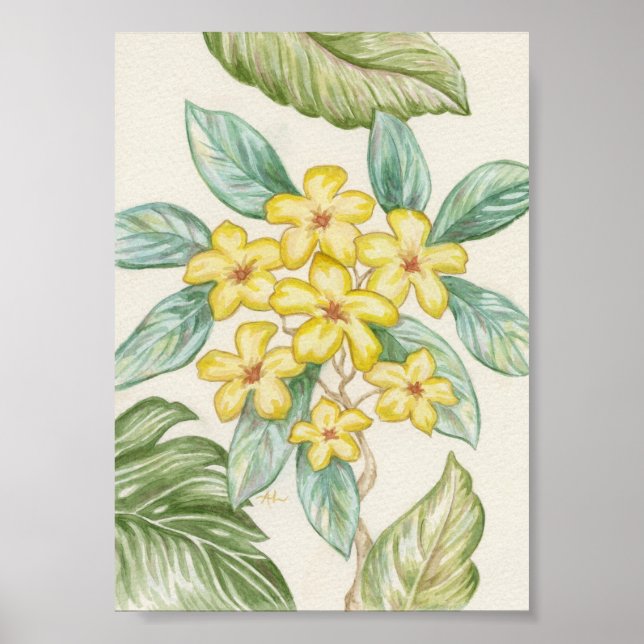 Poster Empreinte artistique Plumeria jaune (Devant)