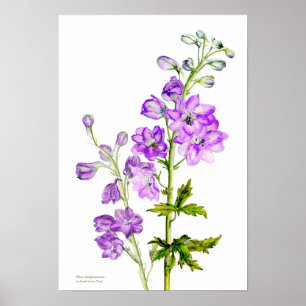 Poster Empreinte d'affiche d'art botanique violet delphin