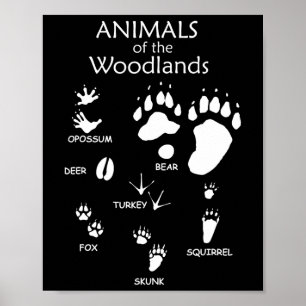 Poster Empreinte de patte animal mou de bois