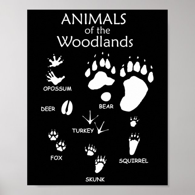 Poster Empreinte de patte animal mou de bois (Devant)