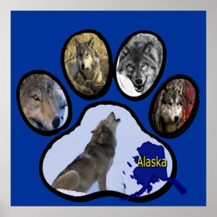 Poster Empreinte de patte de l'Alaska Wolf