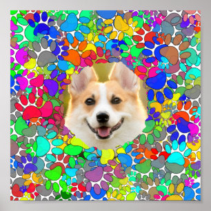 Poster Empreinte de patte photo de chien mignon Motif per