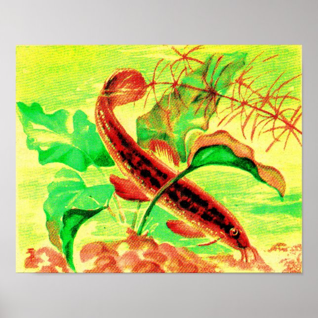 Poster empreinte de poisson (Devant)