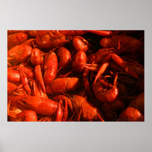 Poster Empreinte de poisson