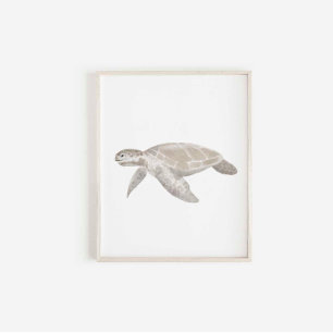 Poster Empreinte de tortues d'aquarelle