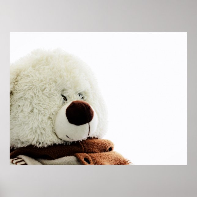Poster Empreinte d'ours (Devant)