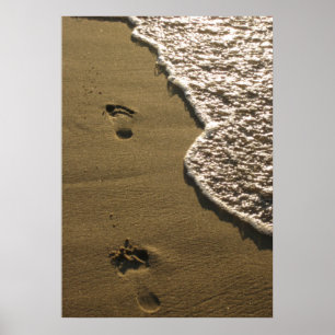 Poster Empreintes de pas dans le sable